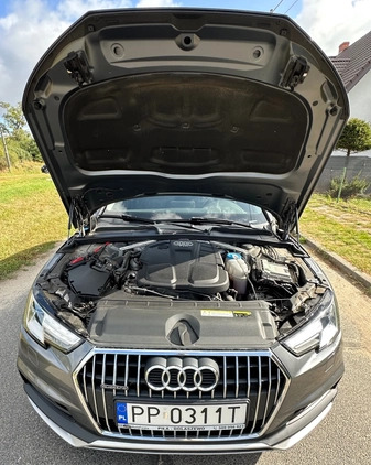 Audi A4 Allroad cena 99900 przebieg: 114600, rok produkcji 2018 z Pakość małe 704